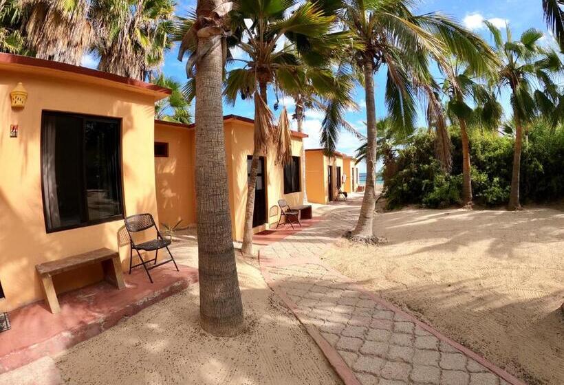 חדר סטנדרט נוף לים, Baja Joe S