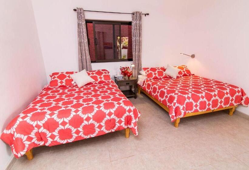 חדר סטנדרט, Baja Joe S