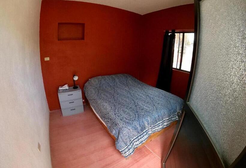 חדר סטנדרט חדר אמבטיה משותף, Baja Joe S