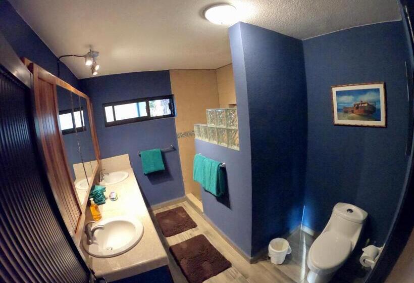 דירת חדר נוף לים, Baja Joe S