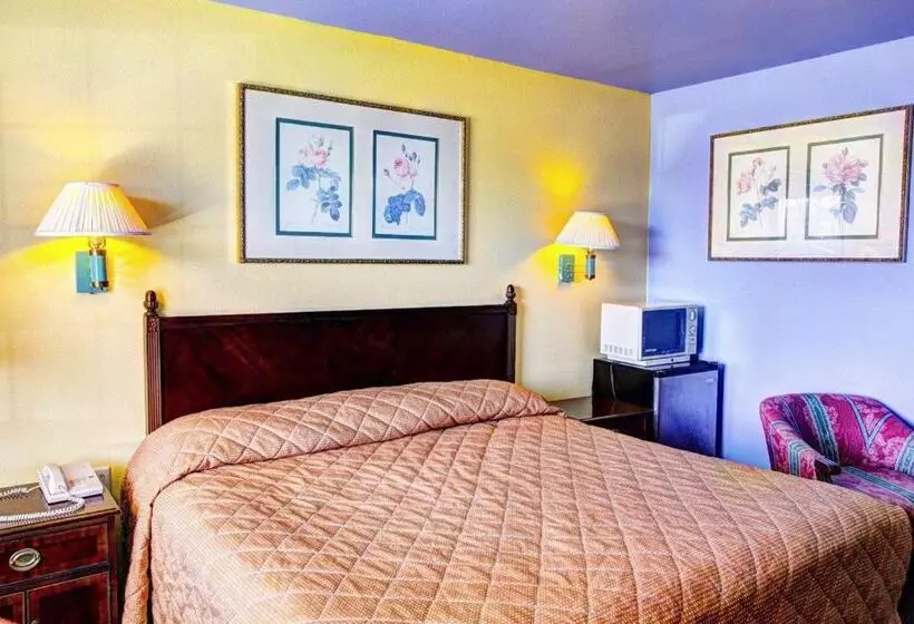 اتاق استاندارد با تخت بزرگ, Nites Inn