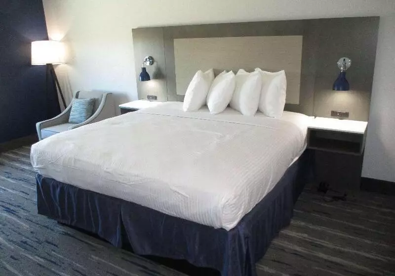 اتاق استاندارد با تخت بزرگ, Rodeway Inn Escondido Downtown