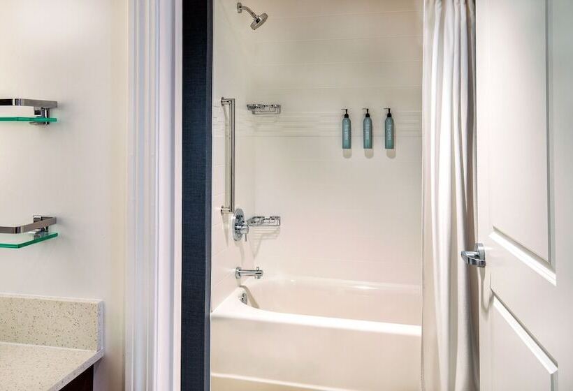 Люкс, Residence Inn By Marriott Boston Cambridge