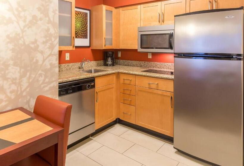 带大床的套房, Residence Inn Sioux Falls