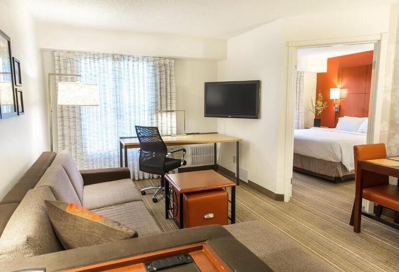 带大床的套房, Residence Inn Sioux Falls