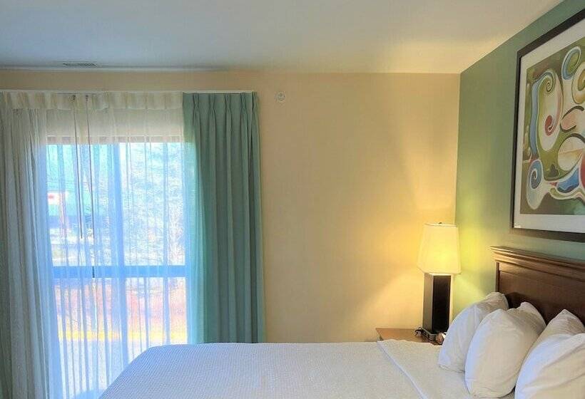 标准工作室, Trellis Herndon