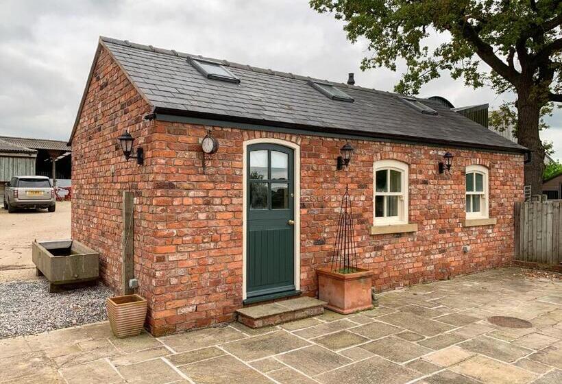 إستوديو ديلوكس, Hollies Farm B&b