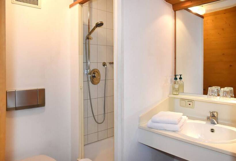 스탠다드 싱글 룸, Alps Hostel