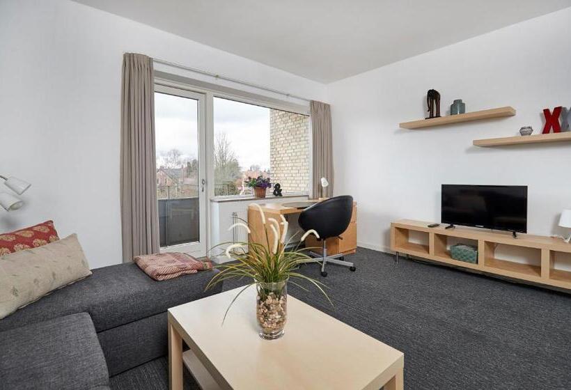 شقة غرفة واحدة, B