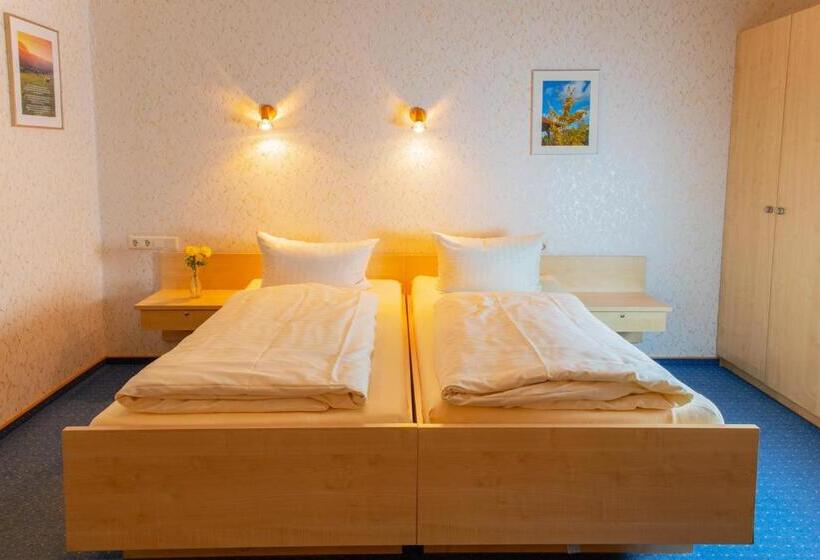 バルコニー付きデラックスルーム, Christliche Gästehäuser Weinstraße