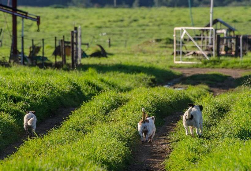 بنجلو قياسى مطلّ علي الحديقة, Milky Lane Cottage