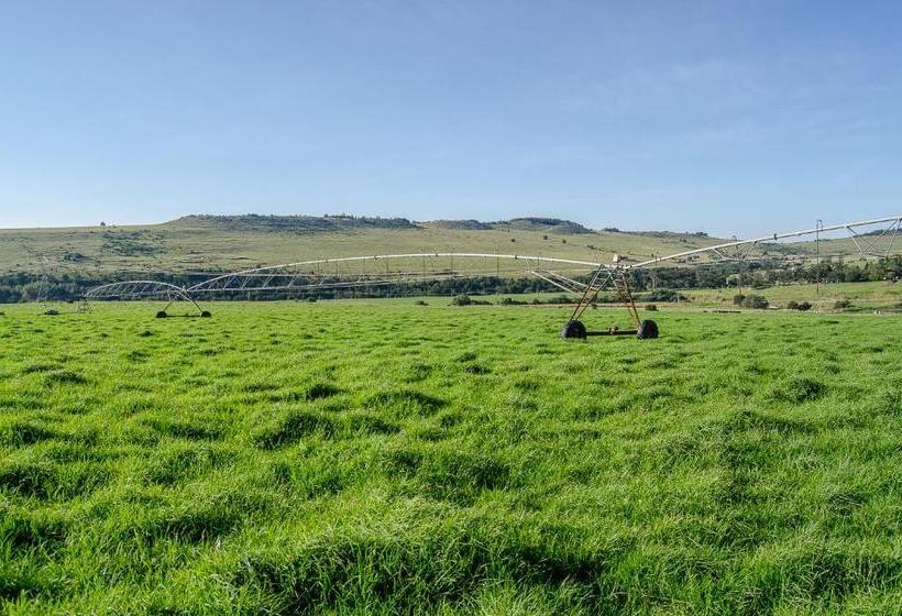 بنجلو قياسى مطلّ علي الحديقة, Milky Lane Cottage