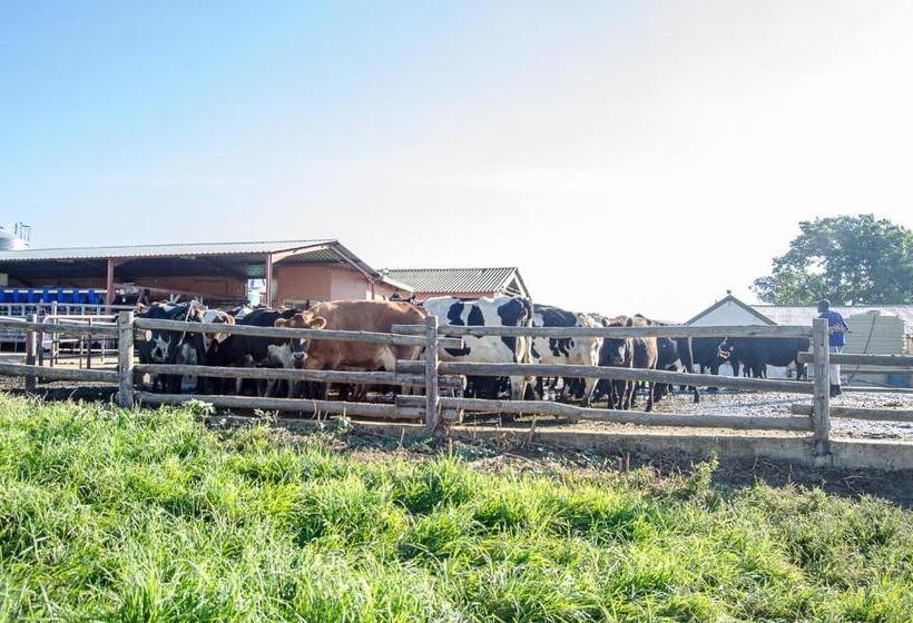 بنجلو قياسى مطلّ علي الحديقة, Milky Lane Cottage