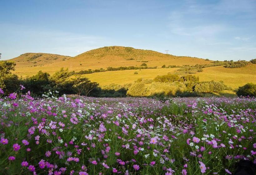 بنجلو قياسى مطلّ علي الحديقة, Milky Lane Cottage