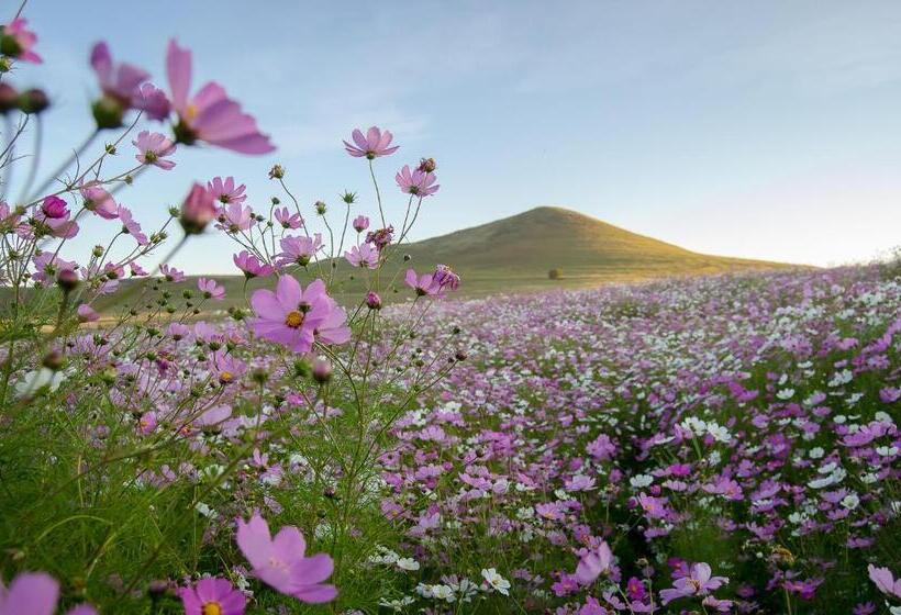 بنجلو قياسى مطلّ علي الحديقة, Milky Lane Cottage