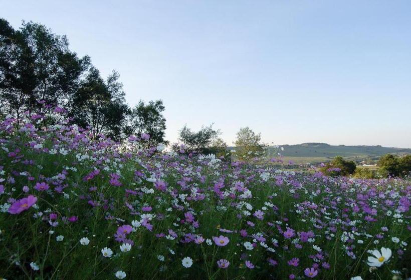 بنجلو قياسى مطلّ علي الحديقة, Milky Lane Cottage