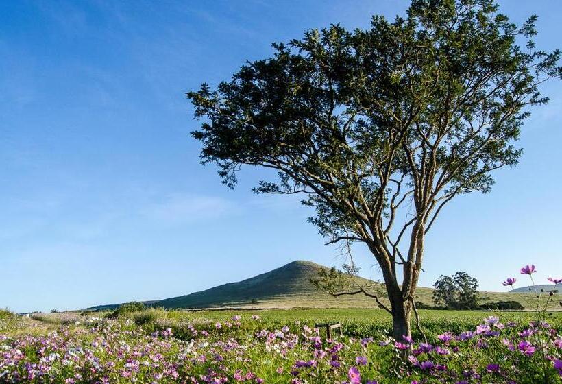 بنجلو قياسى مطلّ علي الحديقة, Milky Lane Cottage
