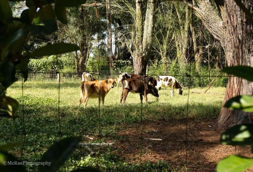 منزل 4 غرف نوم, Milky Lane Cottage