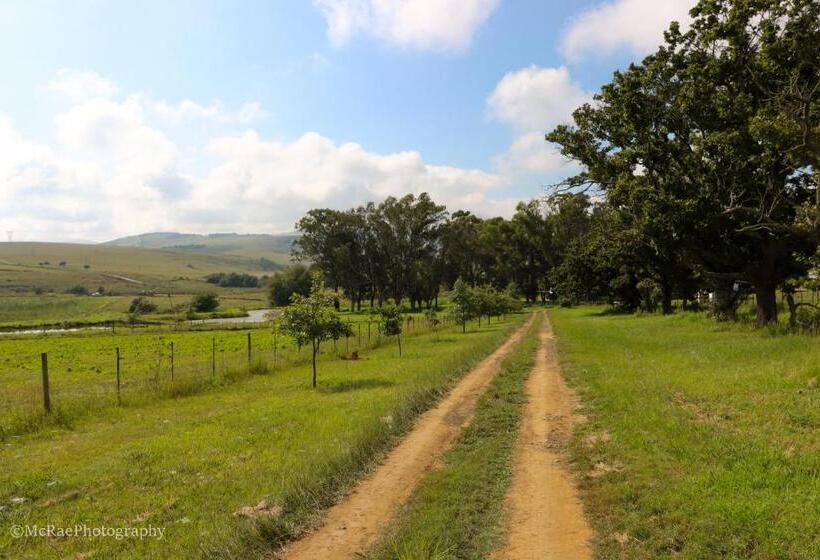 منزل 4 غرف نوم, Milky Lane Cottage