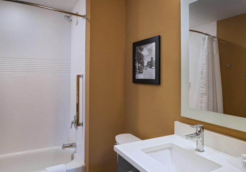 クイーンベッドのスタンダードスタジオ, Towneplace Suites By Marriott Naples