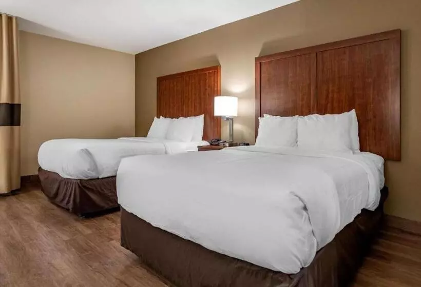 2ダブルベッドのスタンダードルーム, Comfort Inn Birmingham Homewood