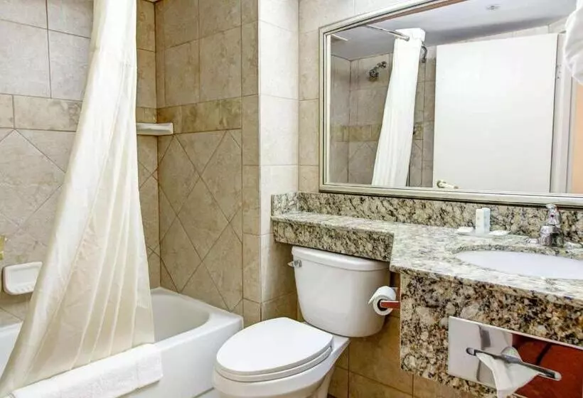 2ダブルベッドのスタンダードルーム, Comfort Inn Birmingham Homewood