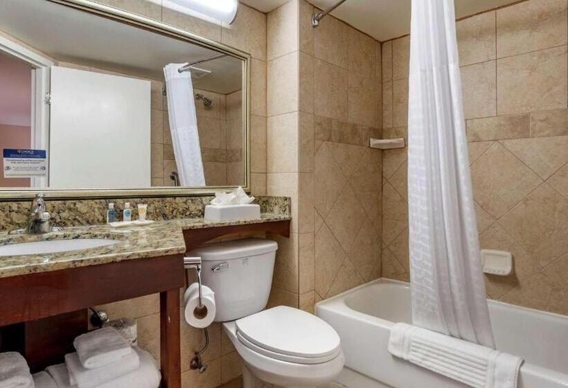 带2个双人床的标准工作室, Comfort Inn Birmingham Homewood