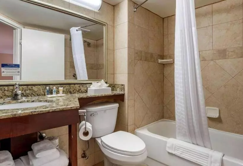 2ダブルベッドのスタンダードルーム, Comfort Inn Birmingham Homewood