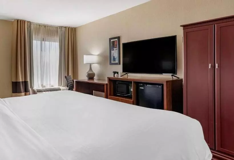 身障者適用キングサイズベッドルーム, Comfort Inn Birmingham Homewood