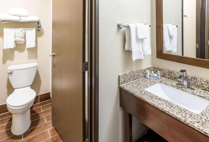 غرفة قياسية سرير كينج, Comfort Inn