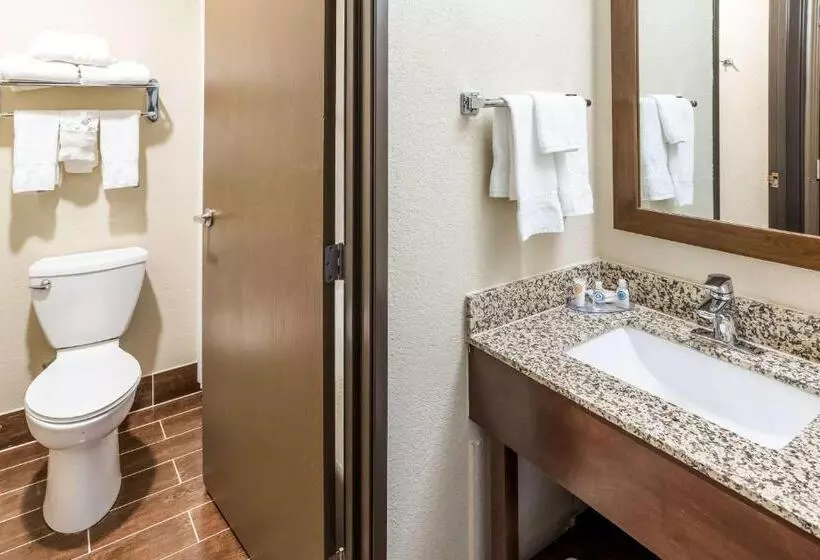 キングサイズベッドのスタンダードルーム, Comfort Inn