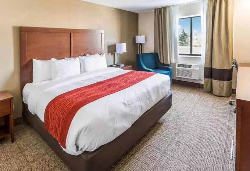 キングサイズベッドのスタンダードルーム, Comfort Inn