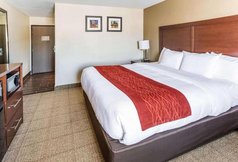 غرفة قياسية سرير كينج, Comfort Inn