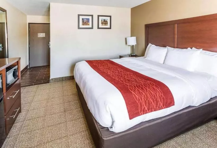 キングサイズベッドのスタンダードルーム, Comfort Inn