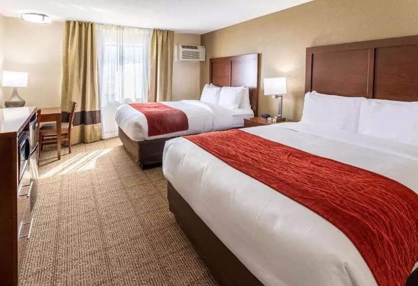 スタンダードルーム, Comfort Inn