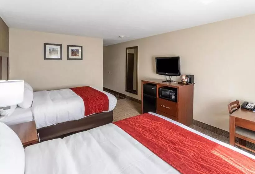 スタンダードルーム, Comfort Inn