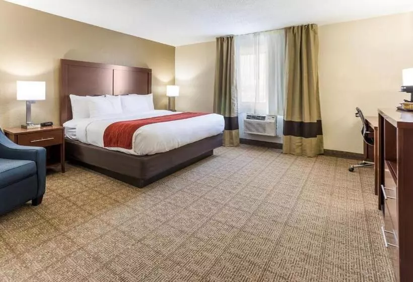 キングサイズベッドのスイートルーム, Comfort Inn