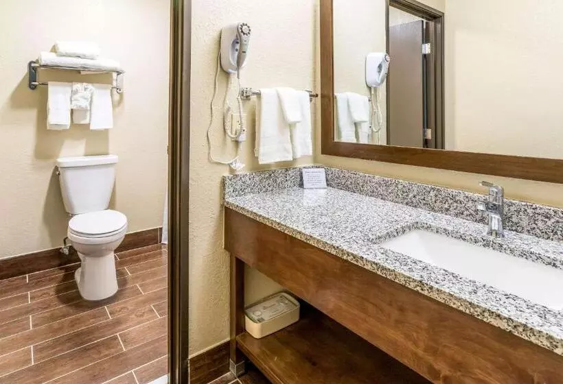 キングサイズベッドのスイートルーム, Comfort Inn