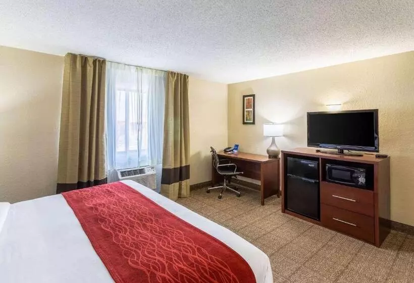 キングサイズベッドのスイートルーム, Comfort Inn
