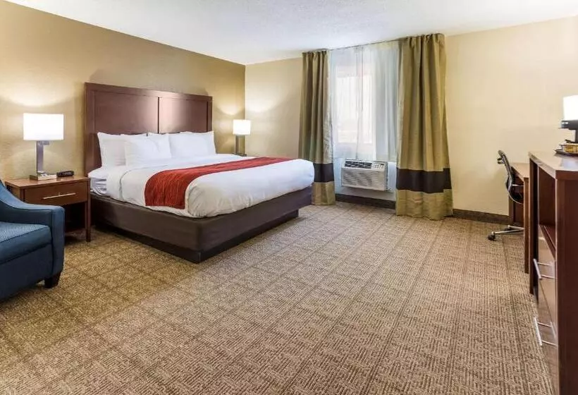 キングサイズベッドのスイートルーム, Comfort Inn
