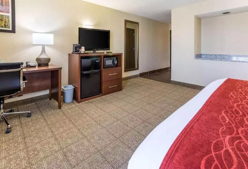キングサイズベッドのスイートルーム, Comfort Inn