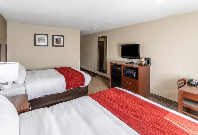 Номер Стандарт Адаптированный для Инвалидов, Comfort Inn