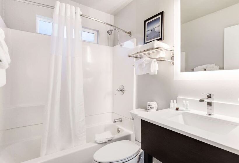 标准间带双人床, Quality Inn South Lake Tahoe