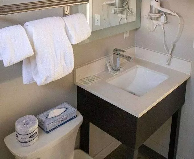 Standard-huone Parivuode, Quality Inn South Lake Tahoe