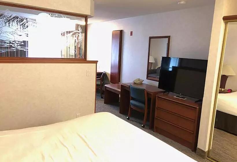 اتاق استاندارد با تخت بزرگ, Shilo Inn Klamath Falls