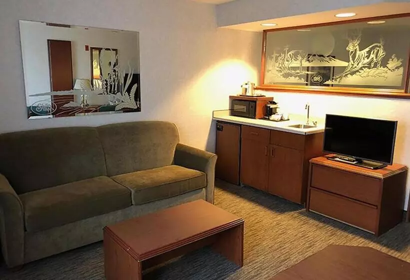 اتاق استاندارد با تخت بزرگ, Shilo Inn Klamath Falls