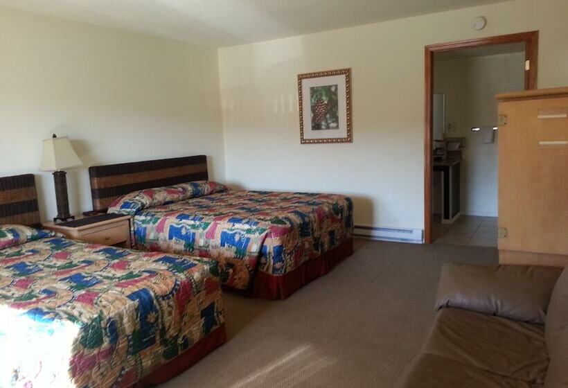 غرفة ديلوكس, Shelton Inn