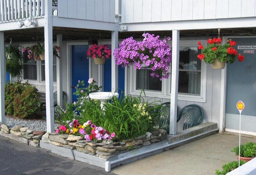 חדר סטנדרט נוף לגינה, Sea Whale Motel