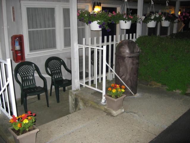 חדר סטנדרט נוף לגינה, Sea Whale Motel