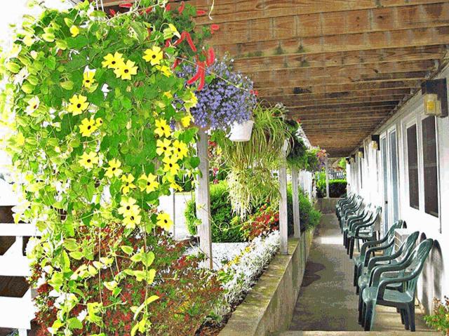 חדר סטנדרט נוף לגינה, Sea Whale Motel